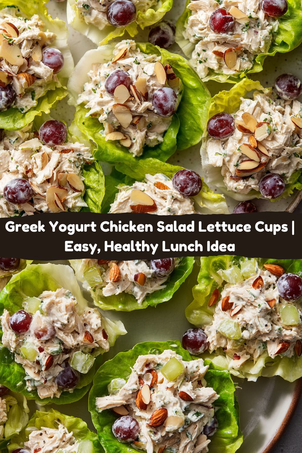 Greek Yogurt Chicken Salad Lettuce Cups