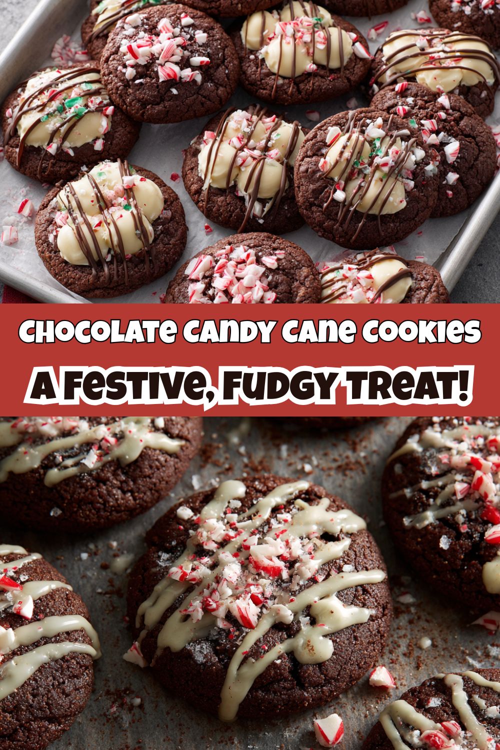 Chocolate Candy Cane Cookies