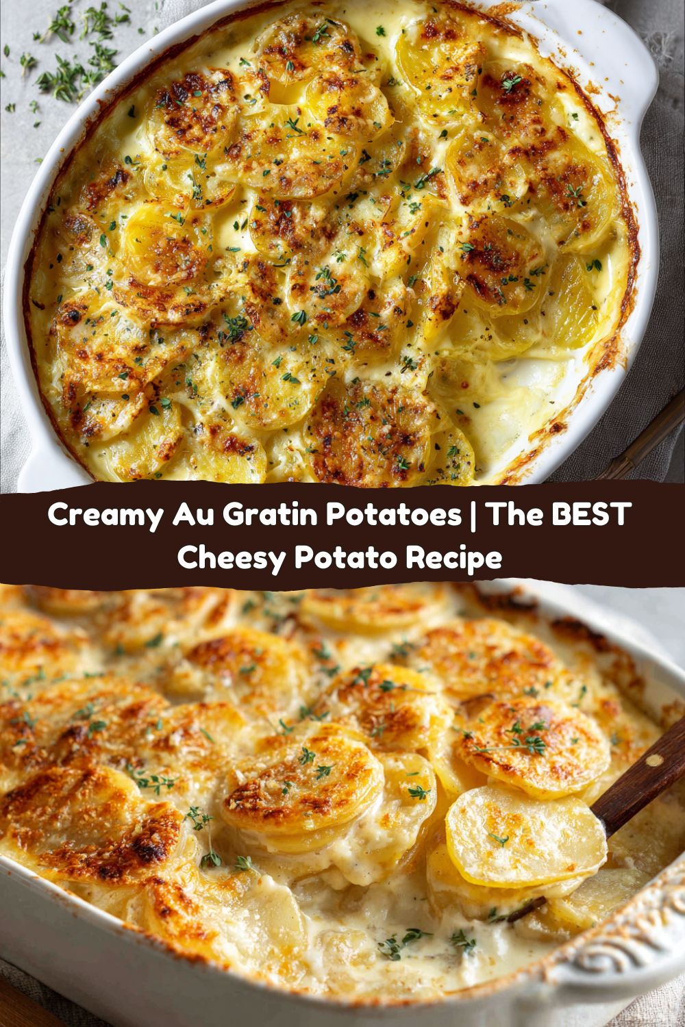 Creamy Au Gratin Potatoes
