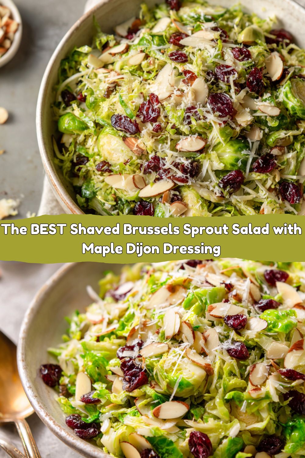 Brussels Sprout Salad with Cranberries & Parmesan