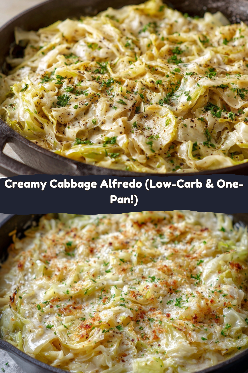 Cabbage Alfredo