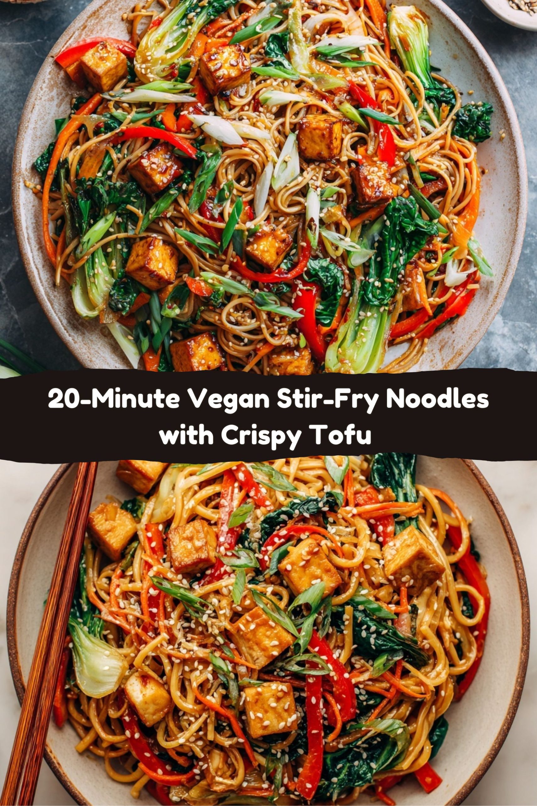 Vegan Stir-Fry Noodles with Tofu