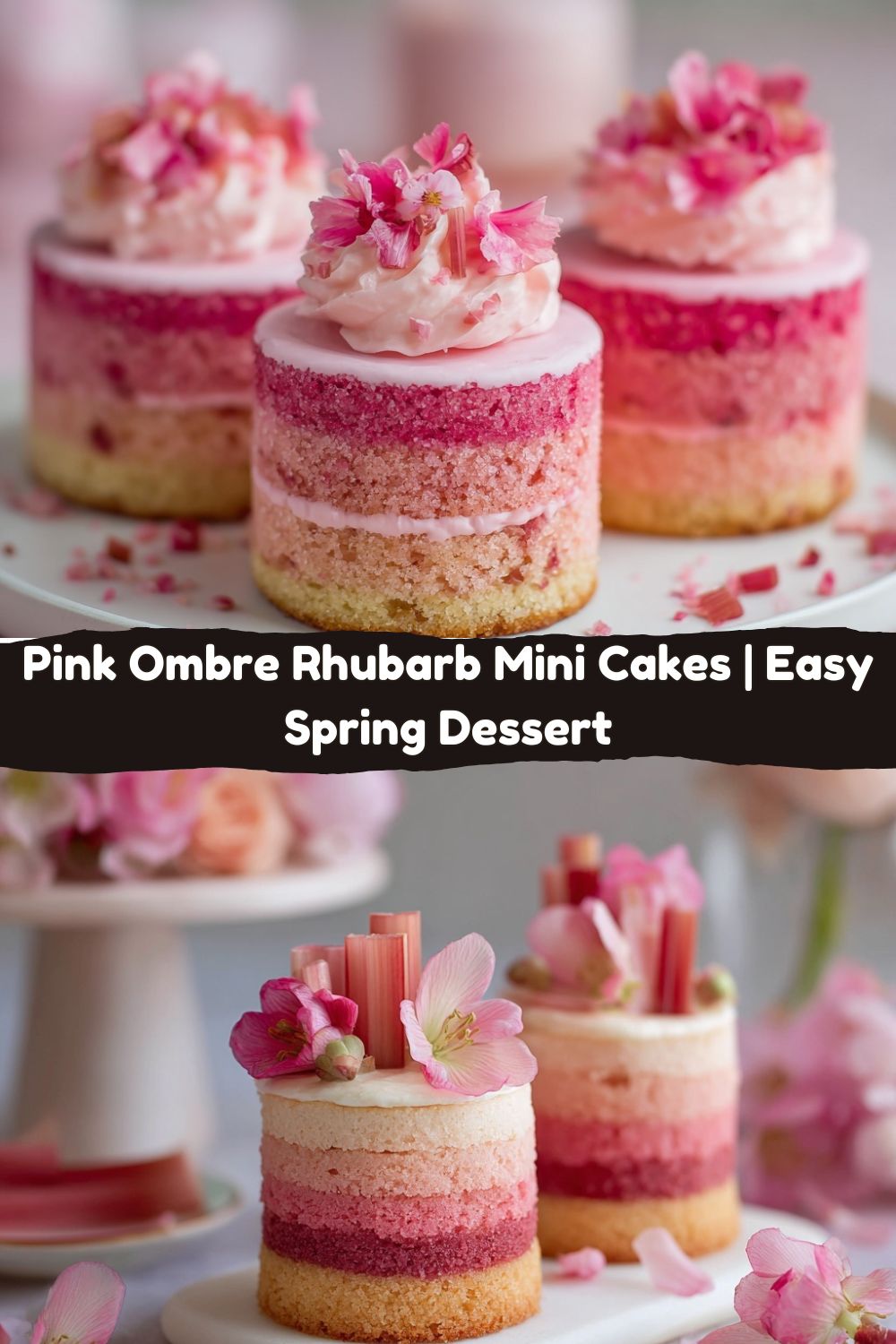 Pink Ombre Rhubarb Mini Cakes