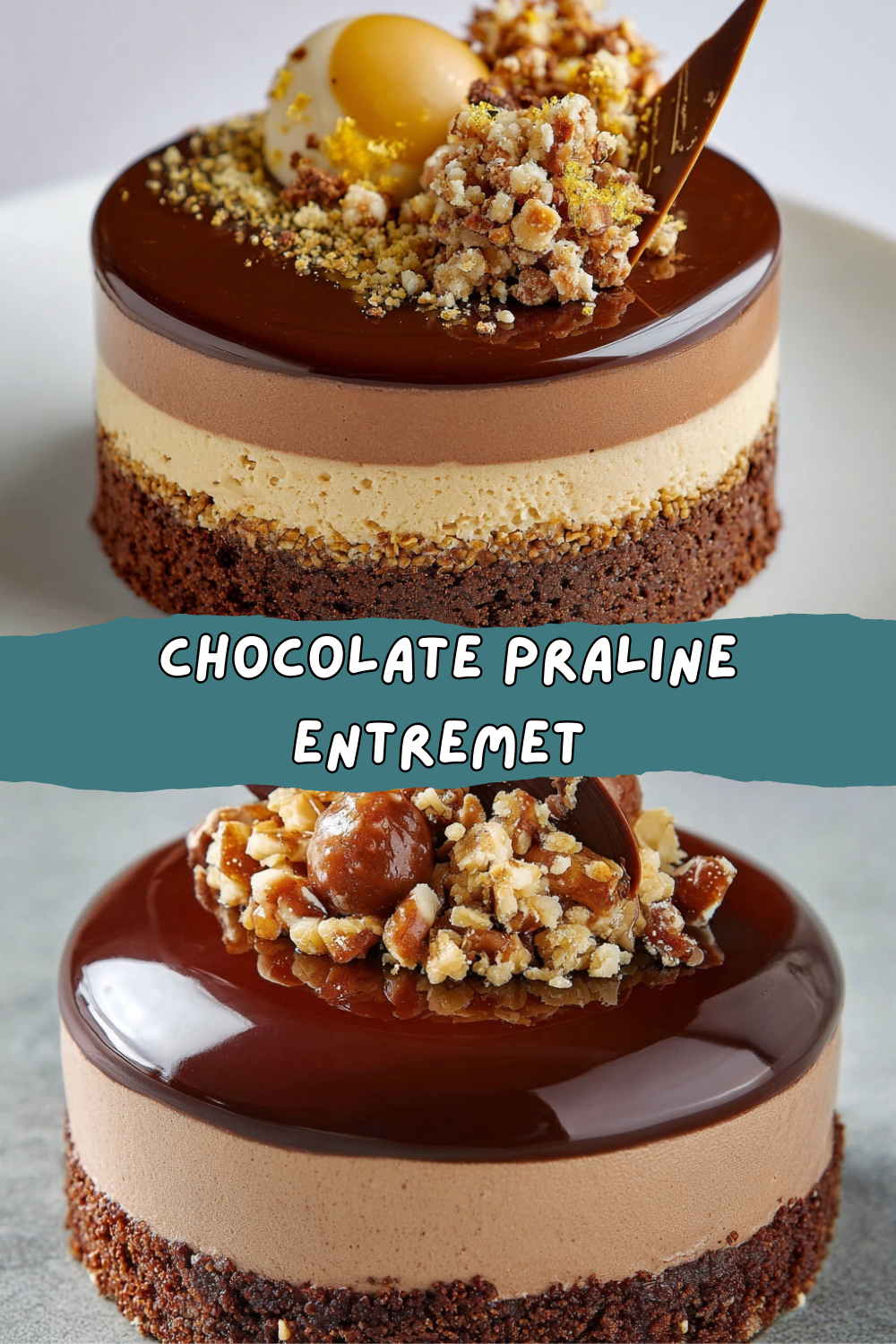 Chocolate Praline Entremet